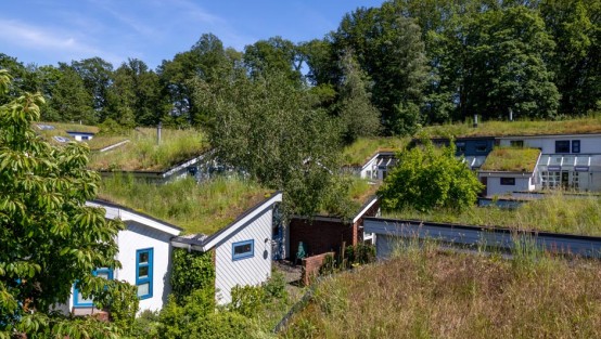 Außenansicht von Häusern mit Gras auf den Dächern