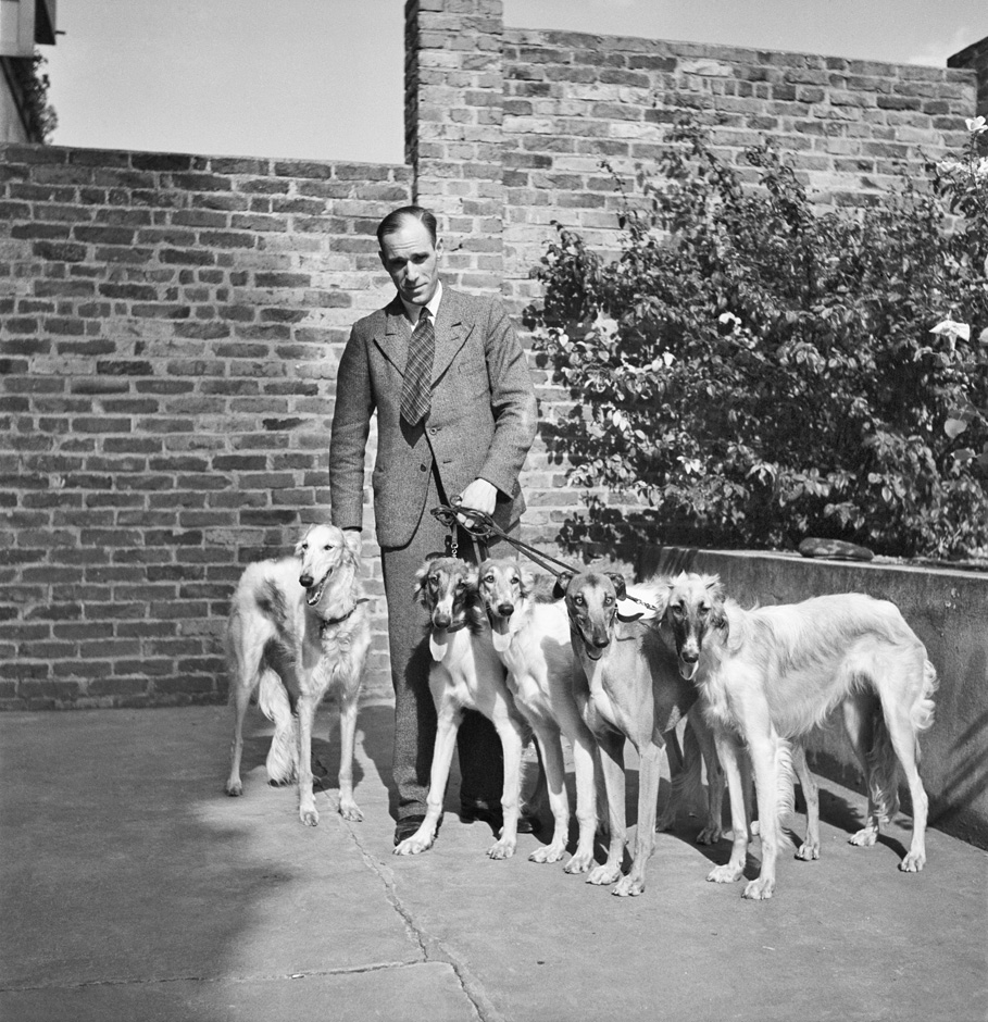 An Mann führt mehrere Hunde an der Leine.