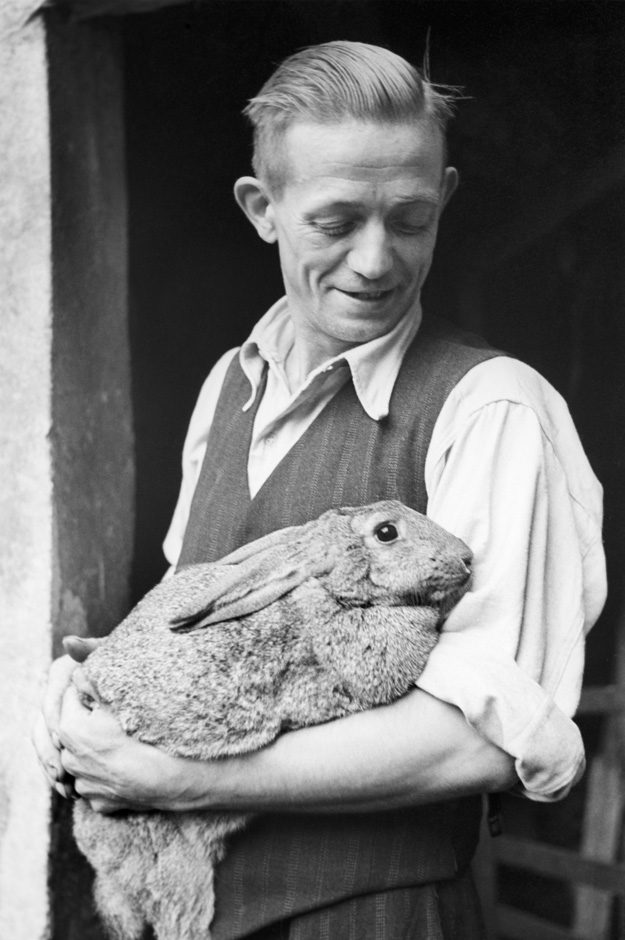 Ein Mann trägt ein Kaninchen auf dem Arm.