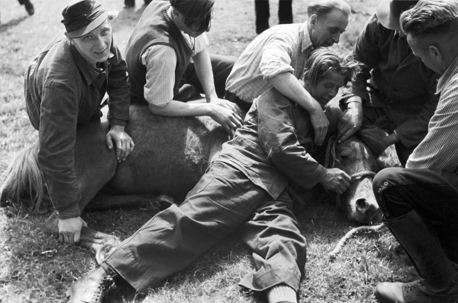 LVR-ZMB, C.A. Stachelscheid Männer halten ein Pferd fest, das auf der Erde liegt.