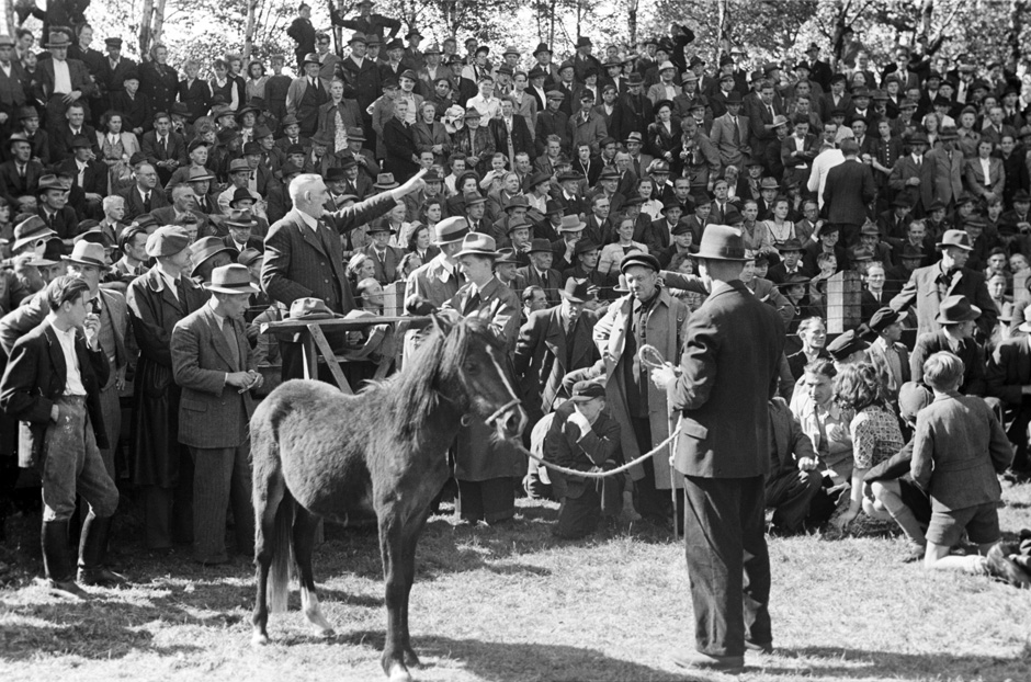 LVR-ZMB, C.A. Stachelscheid Ein Pferd steht vor einer Menschenmenge.