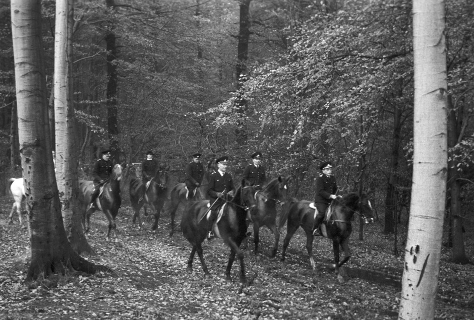 LVR-ZMB, C.A. Stachelscheid Männer auf Pferden reiten durch einen Wald.