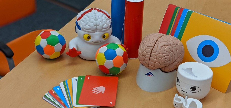 Inhalte aus der Hirnforscher-Box: Ein Gehirn, mehrere bunte Bälle und bunte Karten